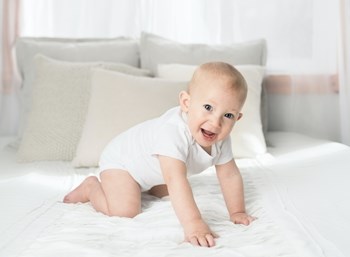 The Role of Probiotics