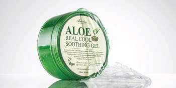 Aloe