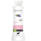 Biogance - Champú Reparador Organissime 250mL