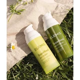Elemis