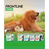 Frontline