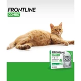 Frontline
