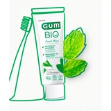 Gum
