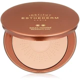 Institut Esthederm - Facial Bronzing Powder 15g Tinted