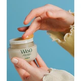 Shiseido