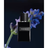 Yves Saint Laurent