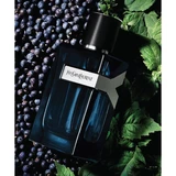 Yves Saint Laurent