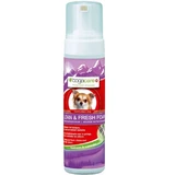 Bogar - Bogacare Clean & Fresh Foam for Dog 150mL