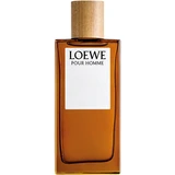 Loewe - Agua de Colonia Loewe Pour Homme 100mL