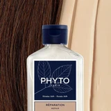 Phyto