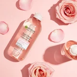 Garnier