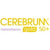 Cerebrum