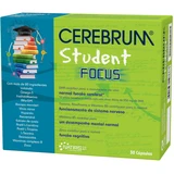 Cerebrum - Cerebrum Student Focus 30 caps.