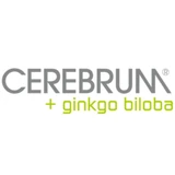 Cerebrum
