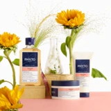 Phyto