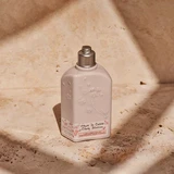 L'Occitane