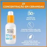 Garnier