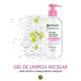 Garnier