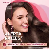 Garnier