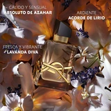 Yves Saint Laurent