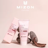 Mizon