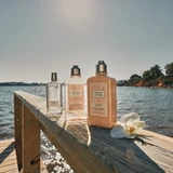 L'Occitane
