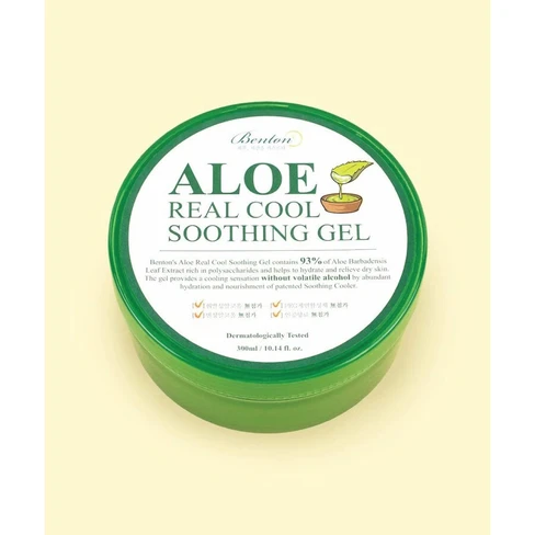 where to get aloe Buy Aloe Vera Plants Online | Healing Plant main image 1