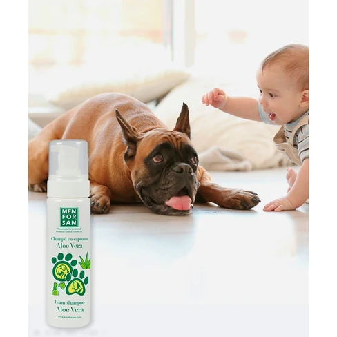 Foam Shampoo with Alo Vera