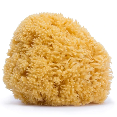 Suavinéx - Natural Sponge