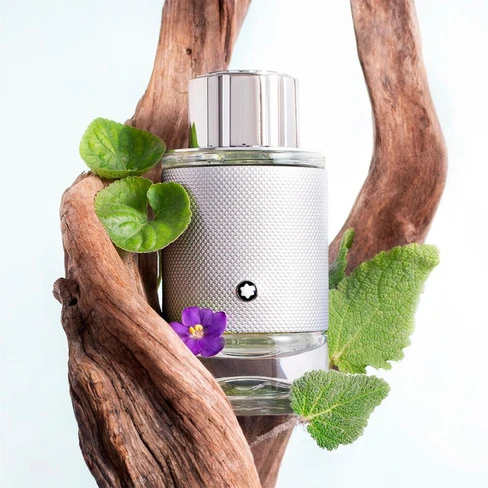 Explorer Platinum Eau de Parfum for Men - Montblanc | Buy at