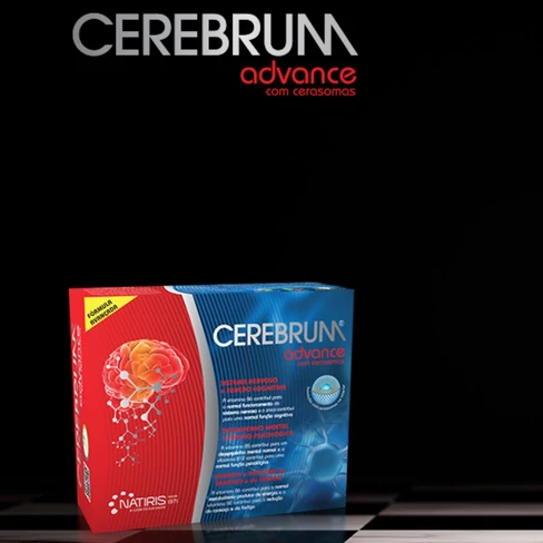 Cerebrum
