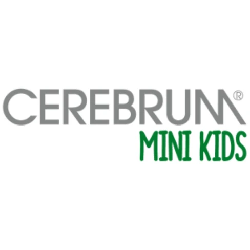 Cerebrum