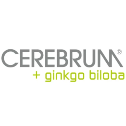 Cerebrum