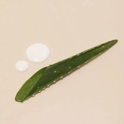 Embryolisse