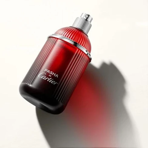 Cartier Pasha de Cartier Edition Noire Sport Eau de Toilette for