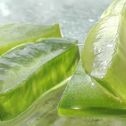 aloe vera lifetakt bewertung LR Aloe Vera Drinking Gel Intense Sivera – LR VIP main image 0