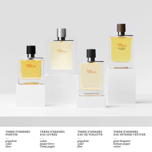 Hermès Terre D'Hermès Eau Givrée 男士淡香水- SweetCare Taiwan