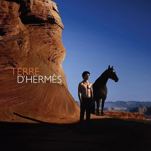 Hermès Terre D'Hermès Eau de Toilette - SweetCare United States