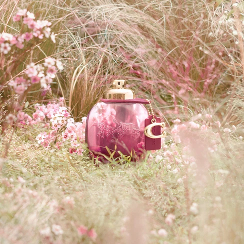 Coach Wild Rose Eau de Parfum for Women SweetCare India