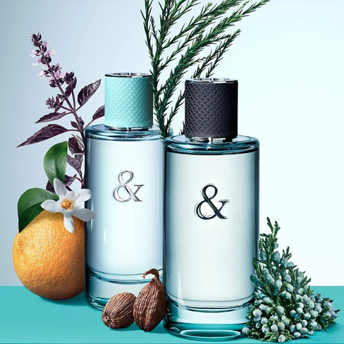 香水(男性用) Tiffany & Co. love Eau de Toilette 50ml Tiffany Love Eau de Toilette Spray for Men, 1.7 Ounce : Amazon.ca