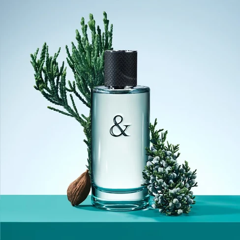 Tiffany and Love Eau de Toilette Man - SweetCare Gibraltar