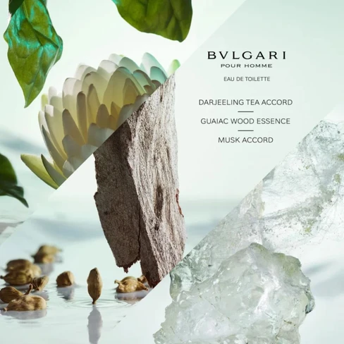 香水(ユニセックス) BVLGARI pour Homme Eau de Toilette 50ml Amazon.com: Bvlgari Pour Homme by Bvlgari for Men 3.4 oz Eau