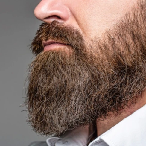 Steinhart Professional