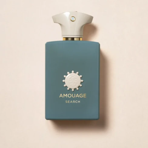 AMOUAGE SEARCH 100ml 香水 Amouage Search Eau de Parfum - SweetCare United States