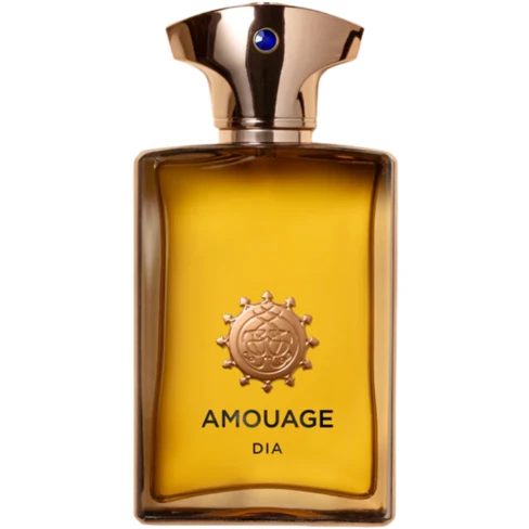 Dia Agua de perfume Hombre - Amouage | Buy at Sweetcare