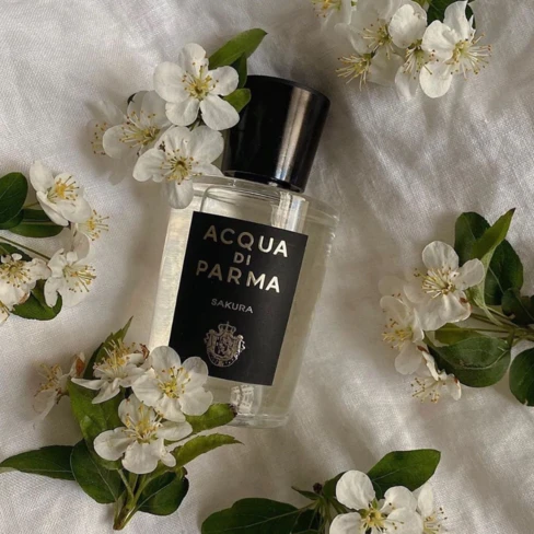 Acqua di Parma 招牌樱花淡香水- SweetCare Taiwan