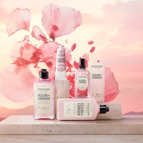 L'Occitane Cherry Blossom Body Lotion Softens and Nourishes