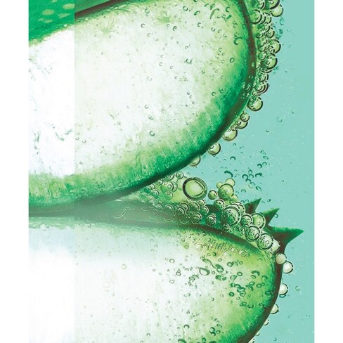 Fructis Hair Food Conditioner Aloe Vera - Garnier | Buy at Sweetcare -  SweetCare United States