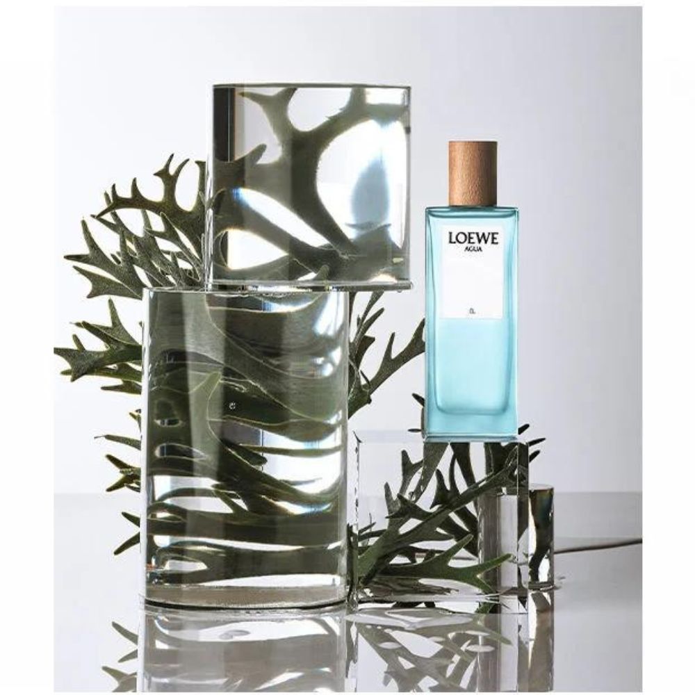 Loewe AguaÉl男士淡香水- SweetCare Taiwan