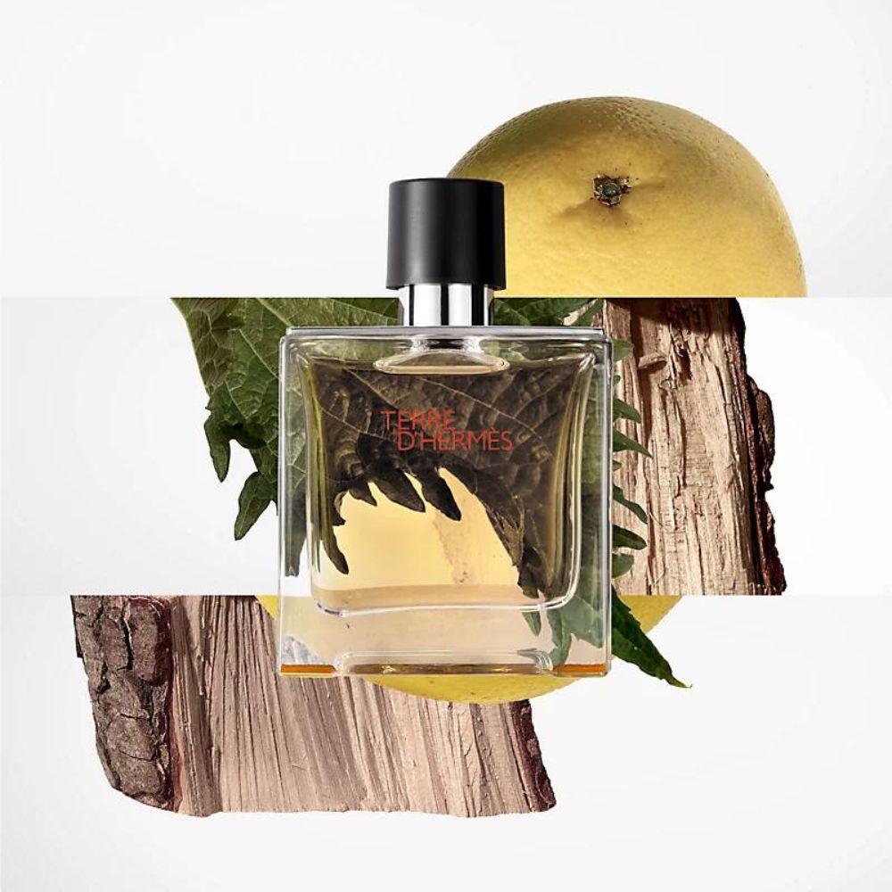 Terre D'Hermès Pure Parfum for Men - Hermès | Buy at Sweetcare